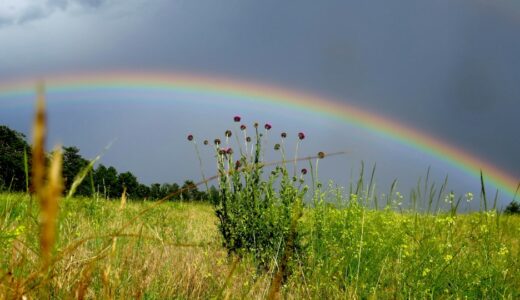 「chasing rainbows」の意味とは？「夢を追い求める！」をネイティブが使う表現を解説