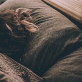 ぐっすり眠る人