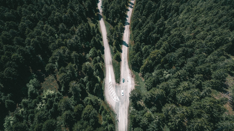 森を抜けて続く一本道