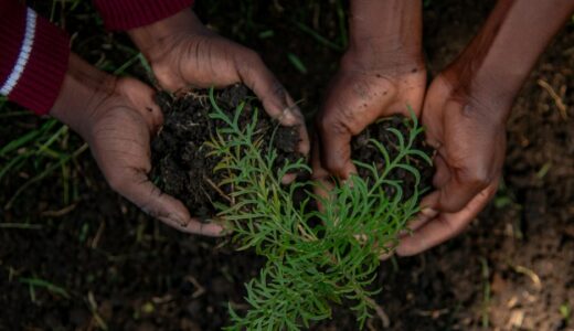 「go green」の意味とは？「環境に優しい行動をする！」をネイティブが使う表現を解説