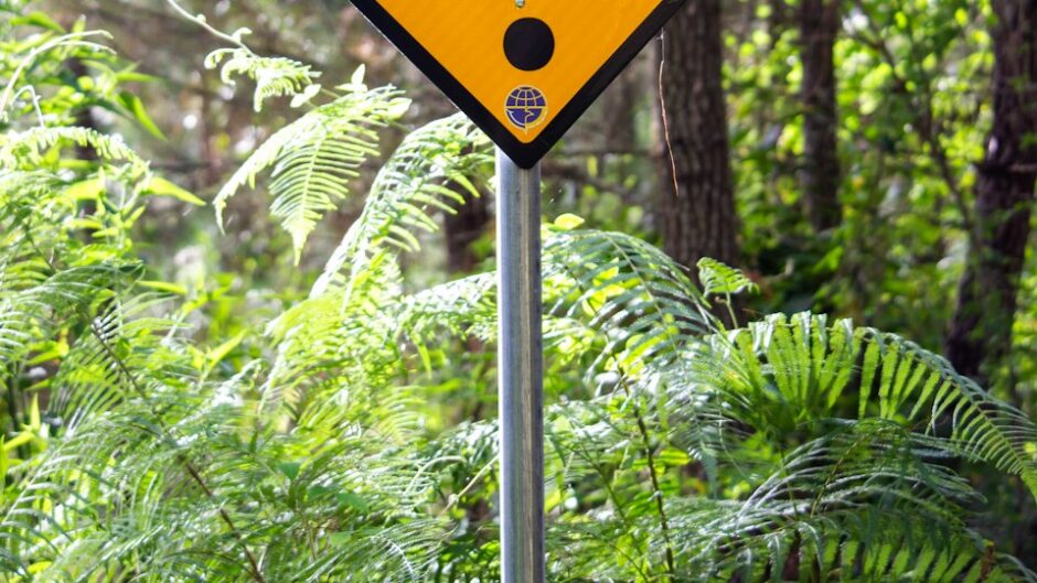 黄色と黒の注意を促す道路標識