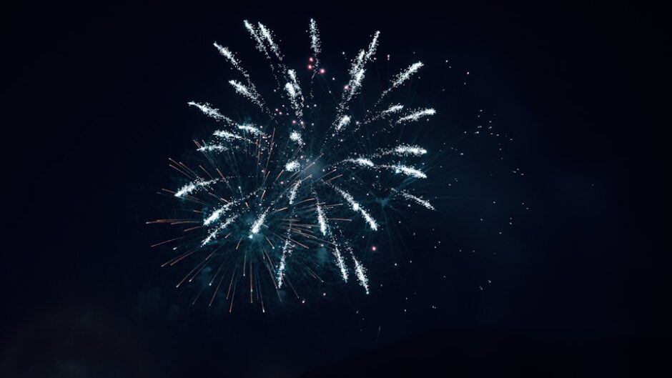 夜空に大きく開く花火