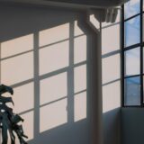 窓から差す光と植物の影
