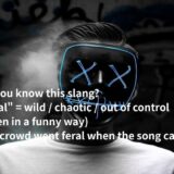 ネイティブが使うferalの意味と使い方