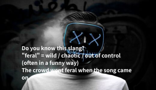ネイティブが使うferalの意味と使い方