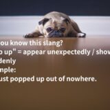 pop upとはどういう意味？英語フレーズをわかりやすく解説