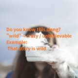 wildとはどういう意味？英語フレーズをわかりやすく解説