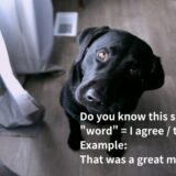 ネイティブが使うwordの意味と使い方を解説