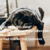 read の意味は？ネイティブ英語の使い方と例文