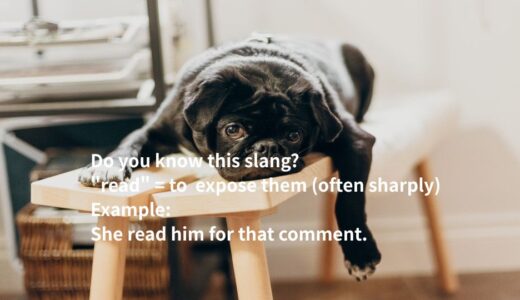 read の意味は？ネイティブ英語の使い方と例文
