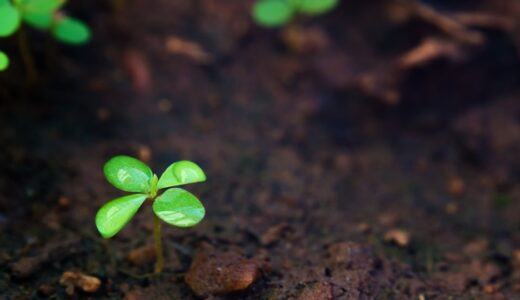 「green」のスラング意味とは？「経験不足・新米」をネイティブが使う表現を解説