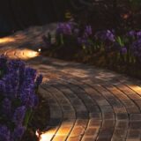 庭の小道 - lead down the garden pathのイメージ