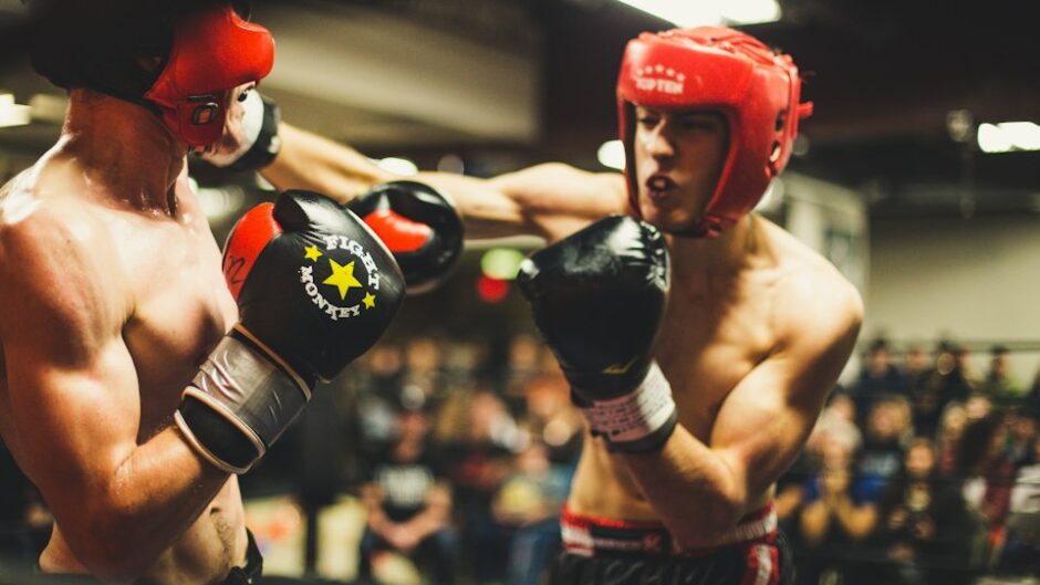 boxers sparring in a ring
