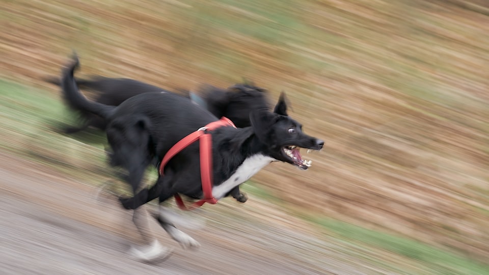 不利な状況で挑むイメージ