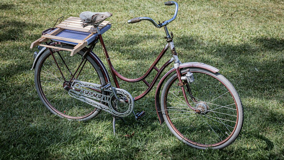 草の上に置かれた自転車