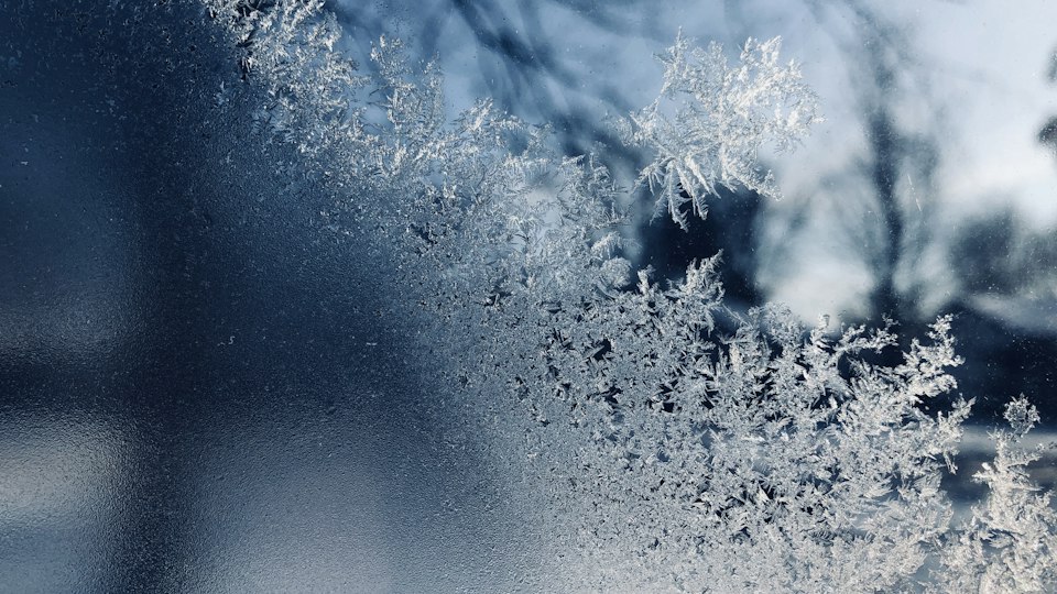 雪景色