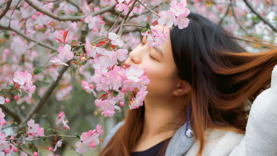 桜の香りをかぐ女性