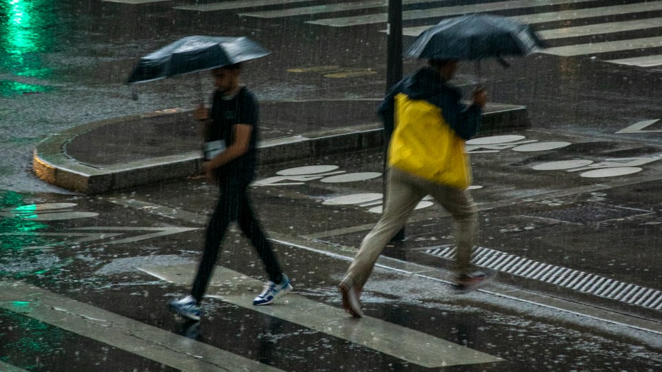 雨の中を傘をさして歩く人々