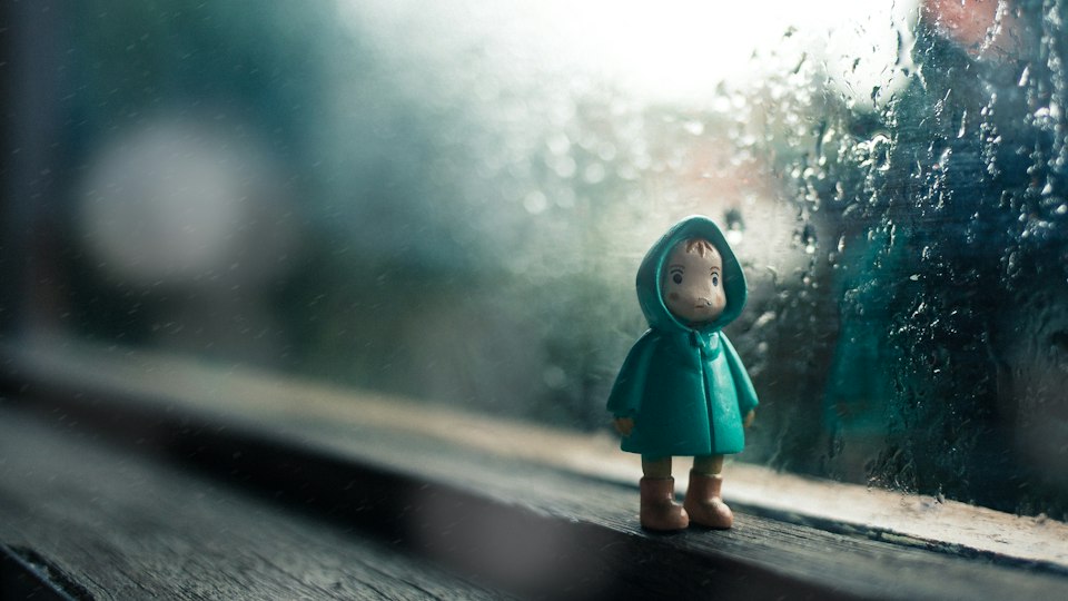 雨の日の景色